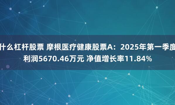 什么杠杆股票 摩根医疗健康股票A：2025年第一季度利润5670.46万元 净值增长率11.84%