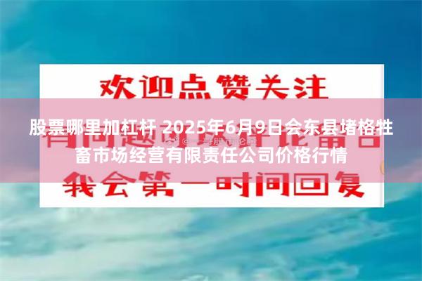 股票哪里加杠杆 2025年6月9日会东县堵格牲畜市场经营有限责任公司价格行情